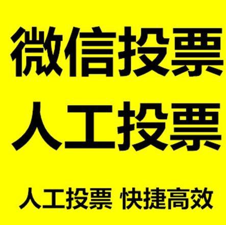 周口市投票活动拉票能被查出来吗？如何操作能不被发现？